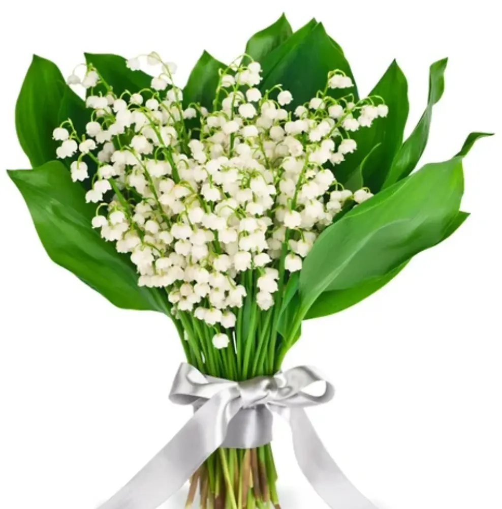 Condolence image of Für Benny ❤️ unseren Sternenprinz 