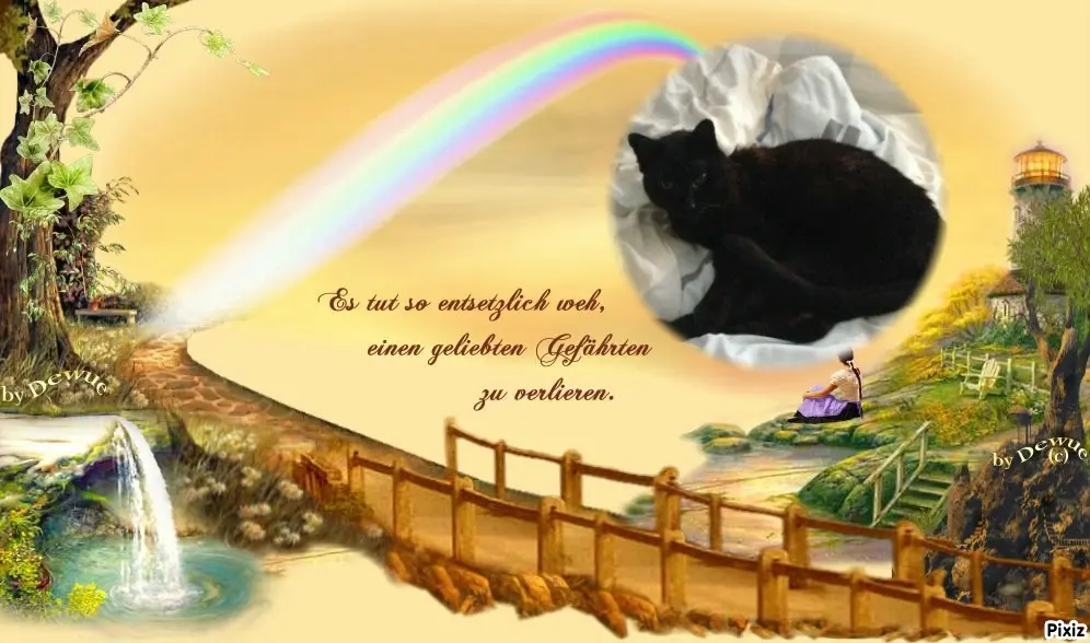 Condolence image of Tanja mit Timmy im Herzen