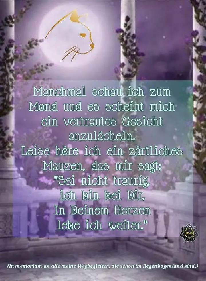 Condolence image of Für Bennyschatz ♥️