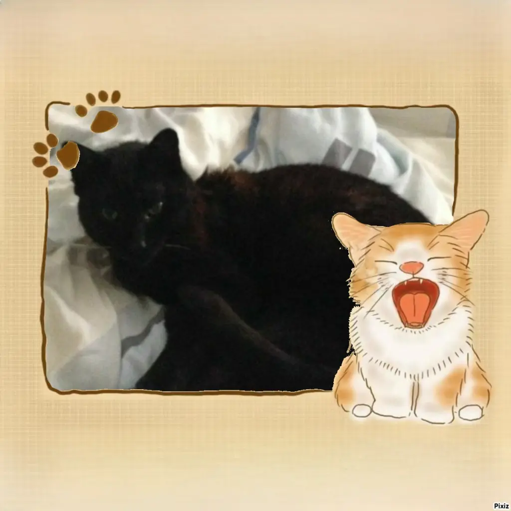 Condolence image of Timmys Mutti Tanja an Sternenprinz Benny ❤