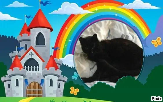 Condolence image of Timmys Mutti Tanja an Sternenprinz Benny ❤