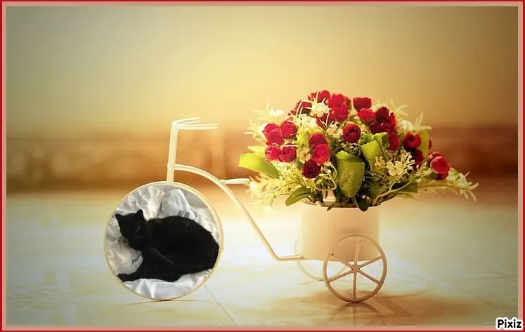 Condolence image of Timmys Mutti Tanja an Sternenprinz Benny ❤