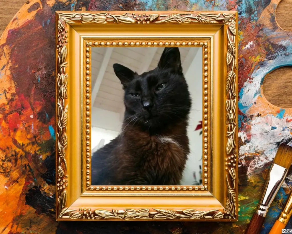 Condolence image of Timmys Mutti Tanja an Sternenprinz Benny ❤