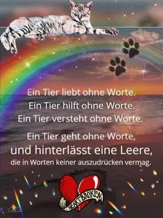Condolence image of an den schwarzen Sternenprinz Benny