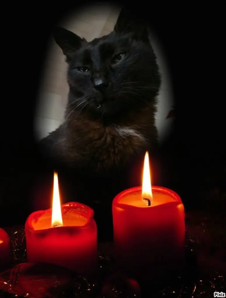 Condolence image of Timmys Mutti Tanja an Sternenprinz Benny ❤