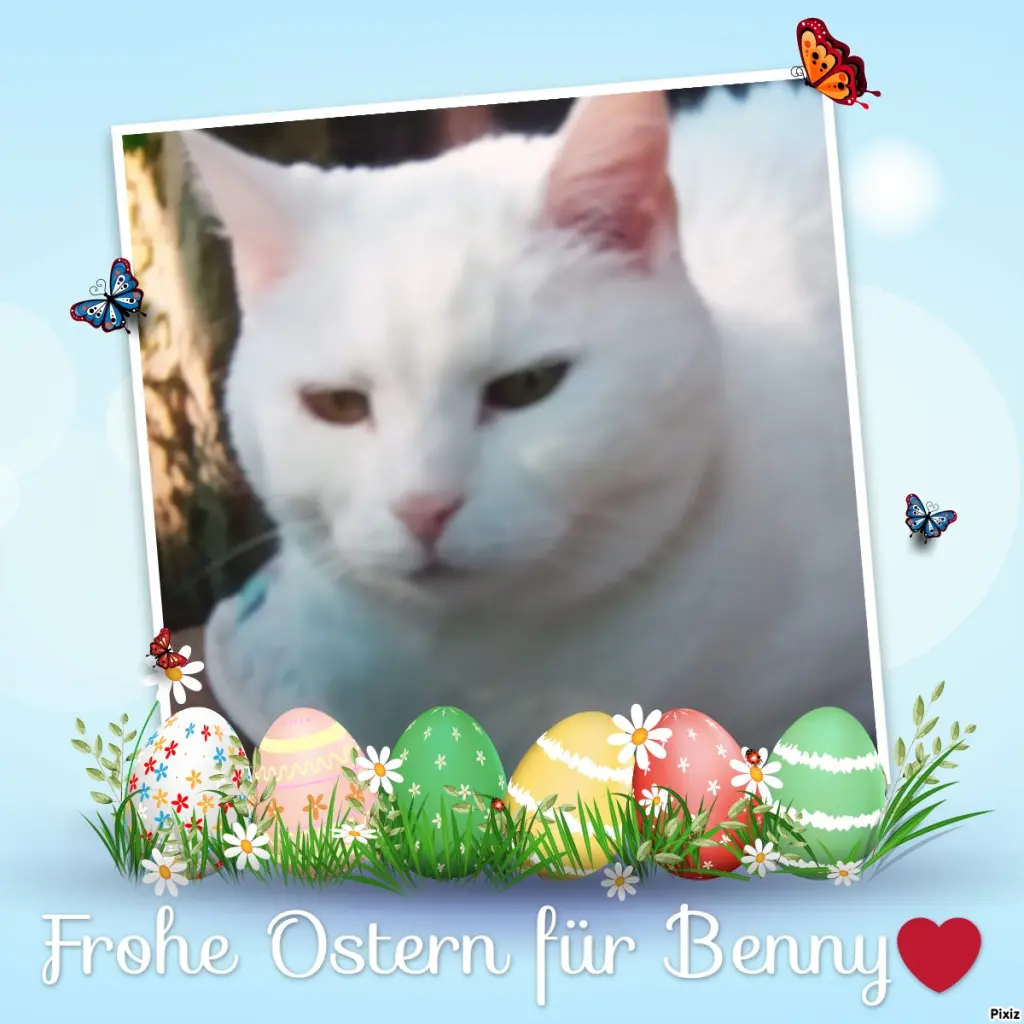 Condolence image of Für den kleinen Benny❤️