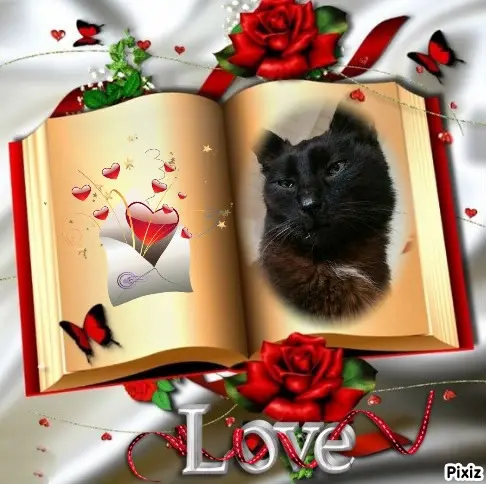 Condolence image of Timmys Mutti Tanja an Sternenprinz Benny ❤