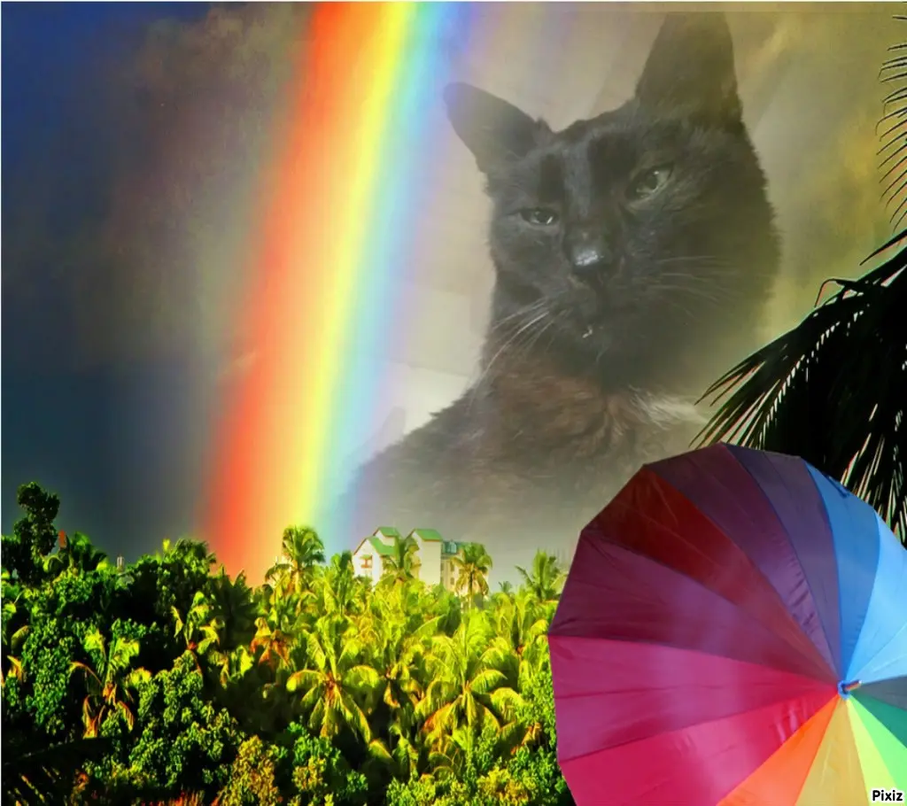 Condolence image of Tanja mit Timmy im Herzen