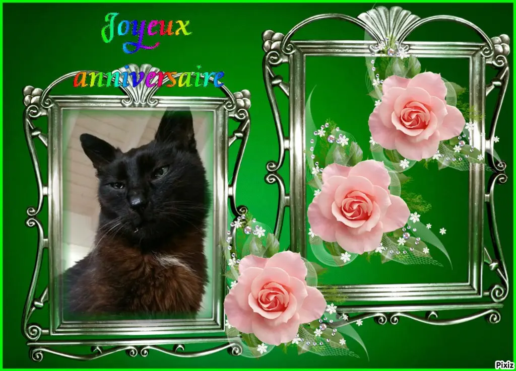 Condolence image of Timmys Mutti Tanja an Sternenprinz Benny ❤