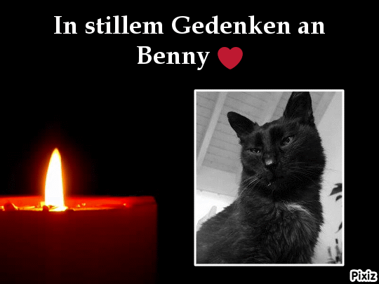 Condolence image of Tanja mit Timmy im Herzen