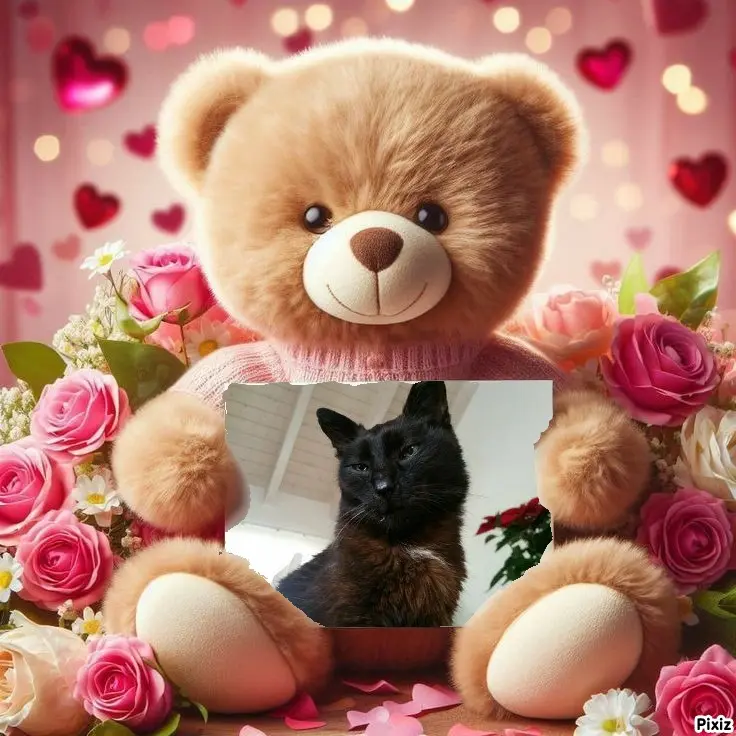 Condolence image of Timmys Mutti Tanja an Sternenprinz Benny ❤