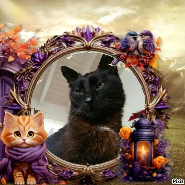 Condolence image of Timmys Mutti Tanja an Sternenprinz Benny ❤
