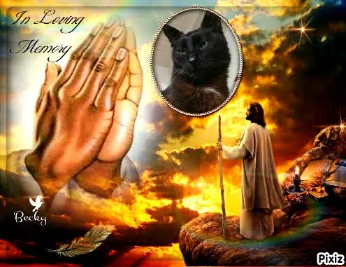 Condolence image of Tanja mit Timmy im Herzen