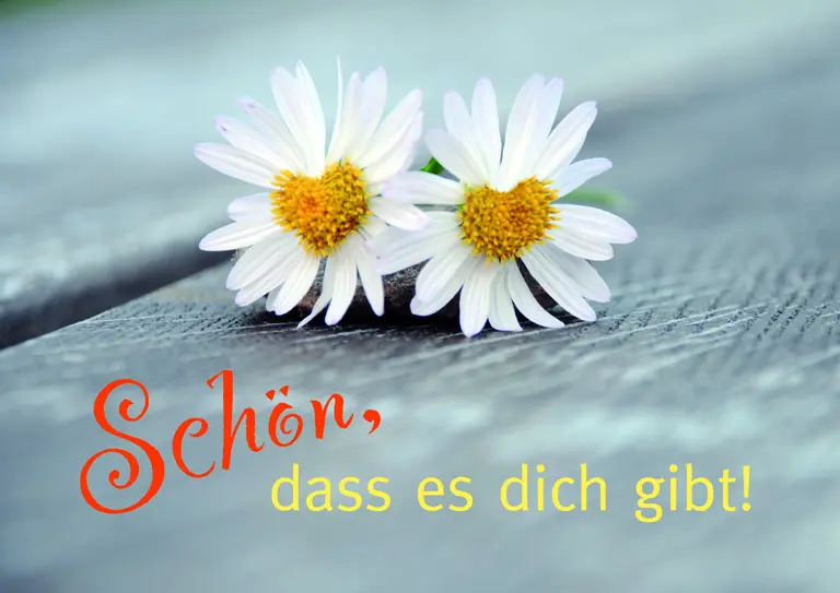 Condolence image of Mirilein und Snooperle ❤️❤️