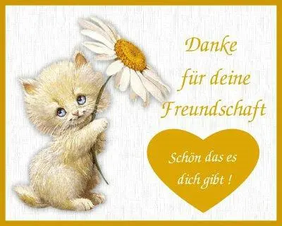 Condolence image of Für unseren Freund Benny ❤️