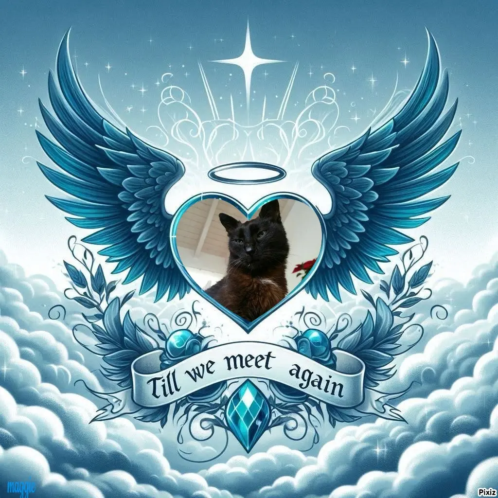 Condolence image of Tanja mit Timmy im Herzen