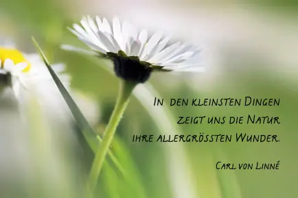 Condolence image of Für Benny und Sonja ❤️
