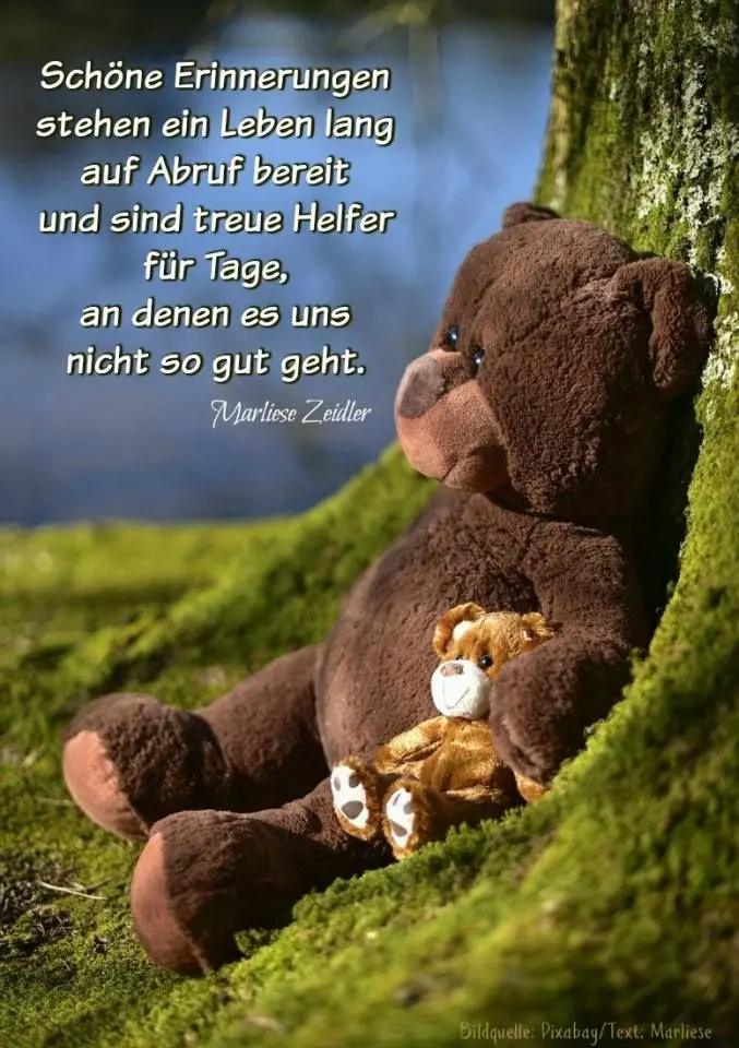 Condolence image of Für Benny und Sonja  ❤️ 