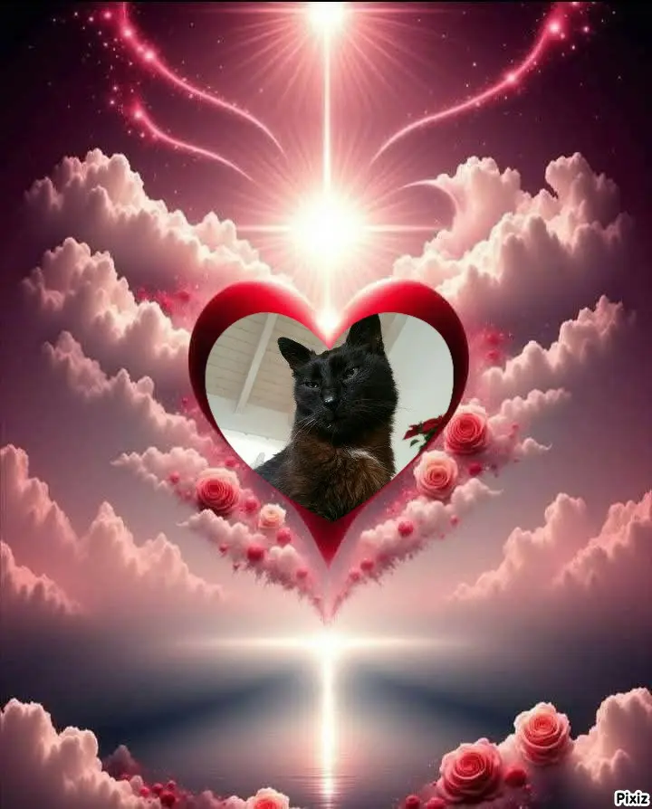 Condolence image of Tanja mit Timmy im 💘