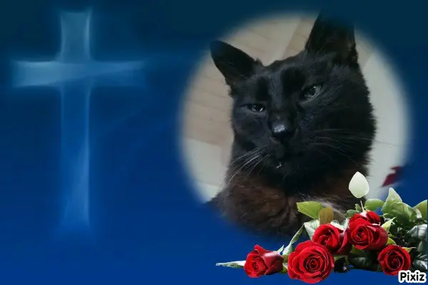 Condolence image of Tanja mit Timmy im 💘