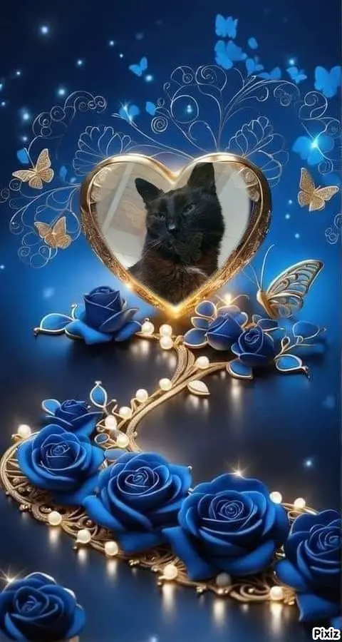 Condolence image of Tanja mit Timmy im 💘🐈🐾