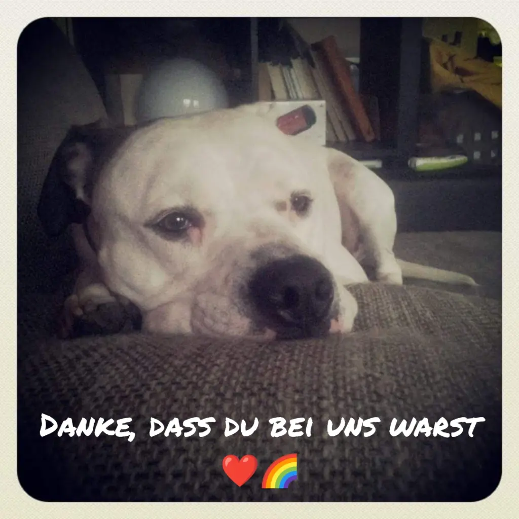 Condolence image of Unbekannt