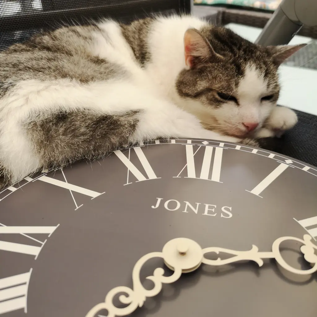Image from Jones