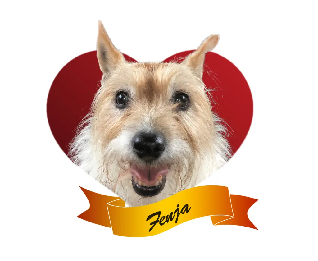 Image from Fenja