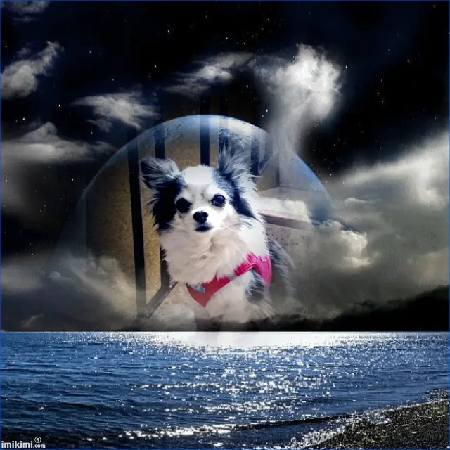 Condolence image of Rosina