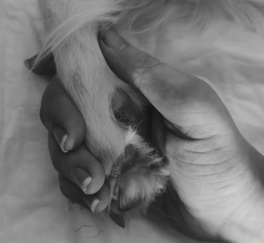 Condolence image of Jessy 