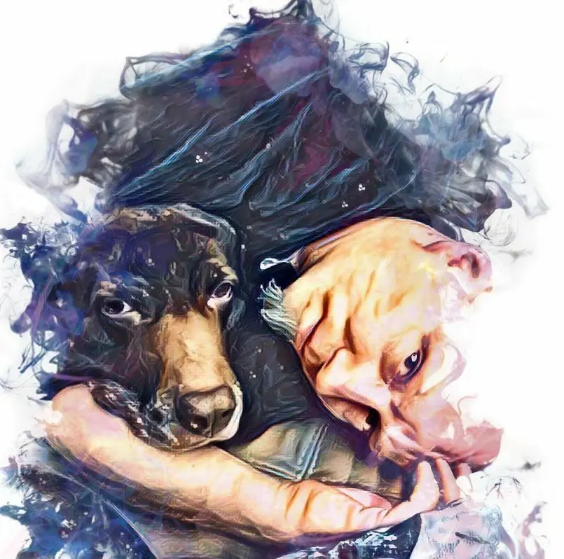 Image from Donny