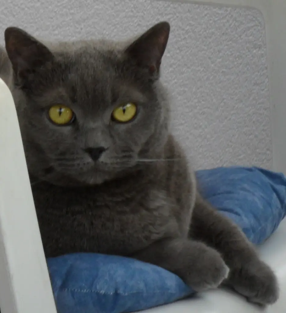 Condolence image of Marion