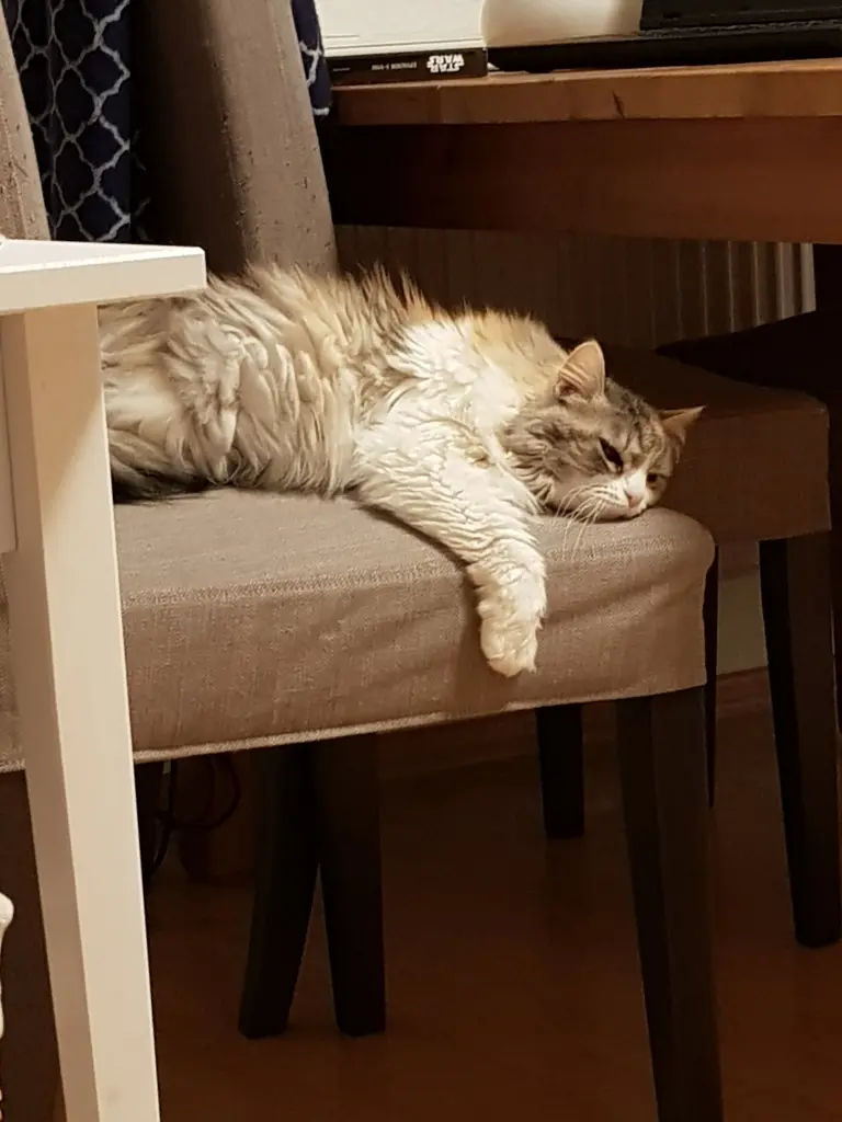 Image from Röschen