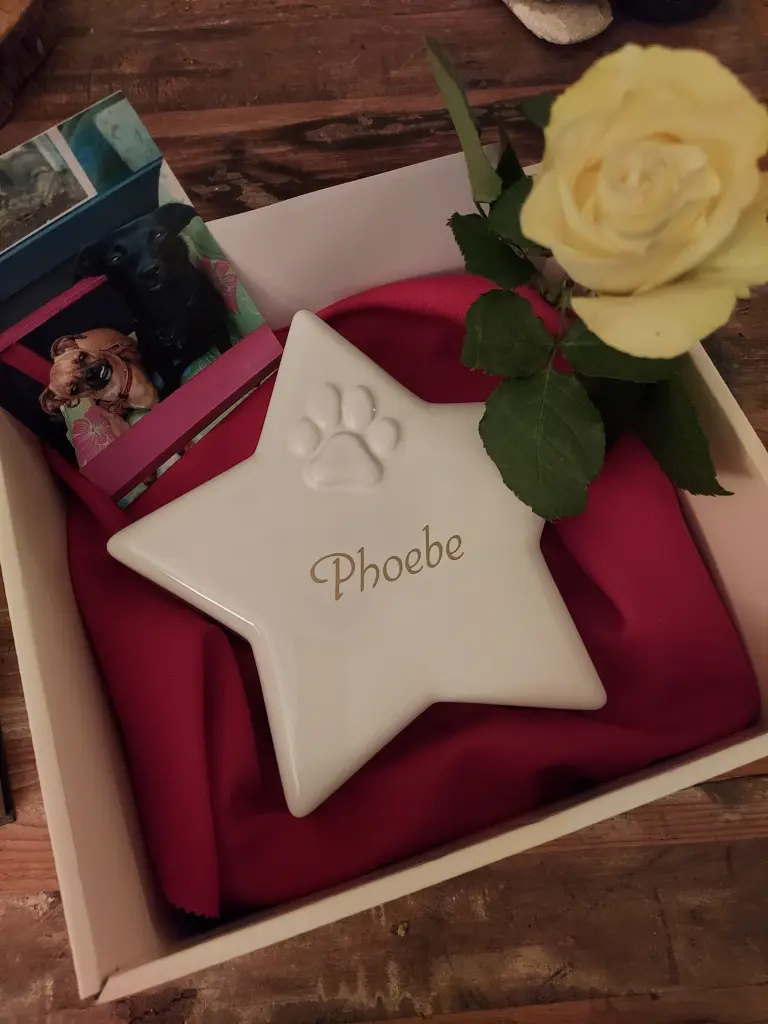 Image from Phoebe