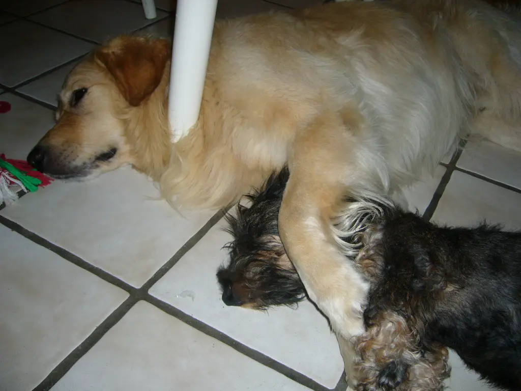 Condolence image of Andy und Conny