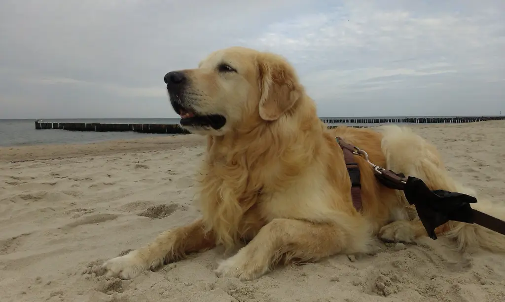 Image from Ben