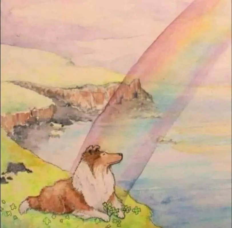 Condolence image of Marina