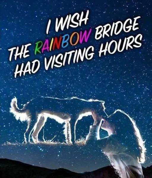 Condolence image of Ute