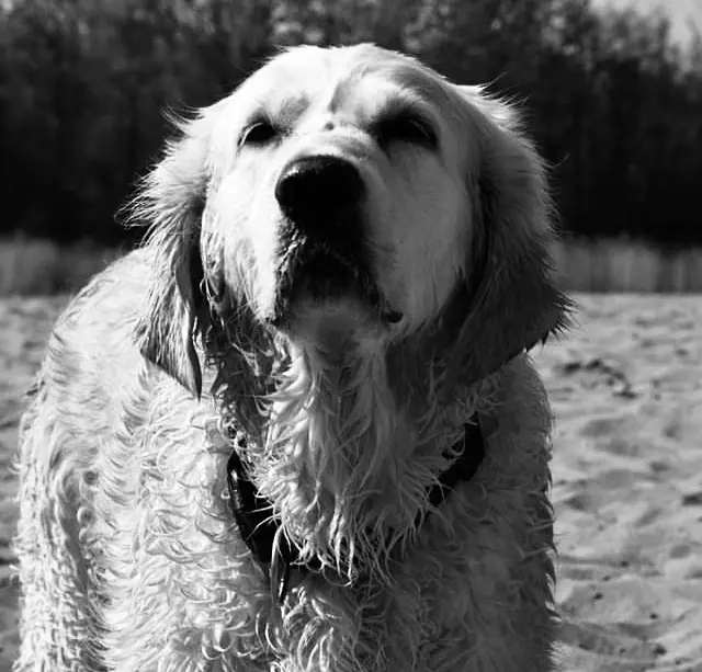 Condolence image of Carolin