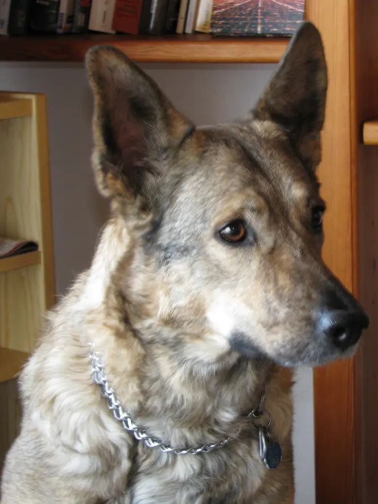 Image from Lucy