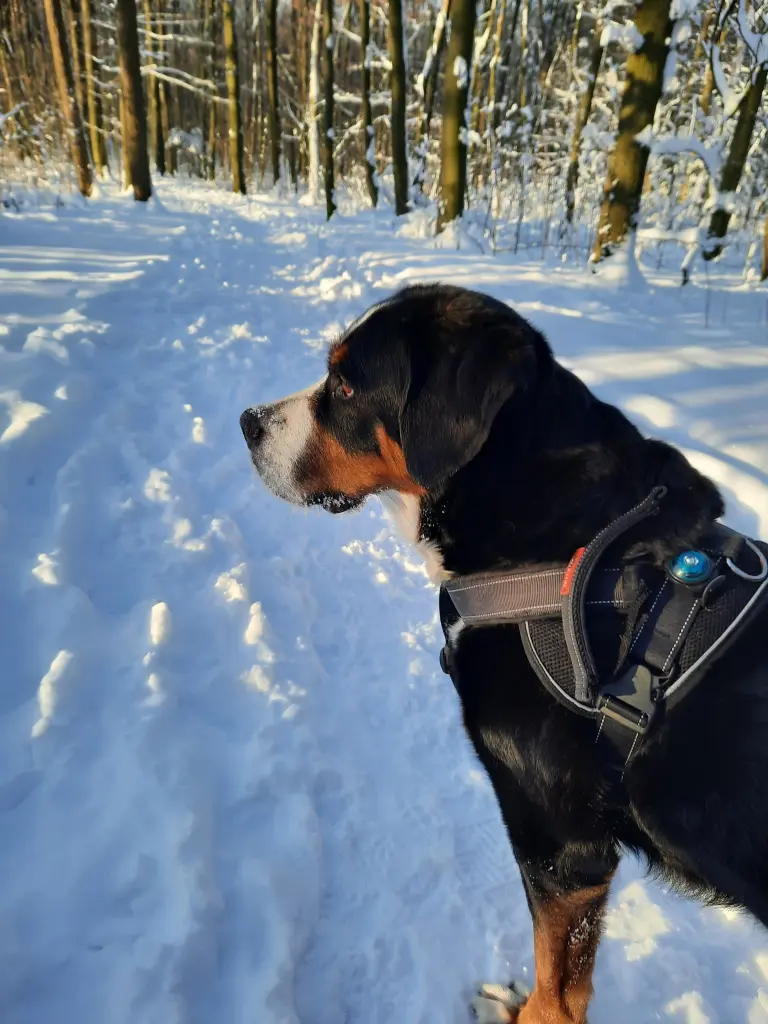 Image from Bessy