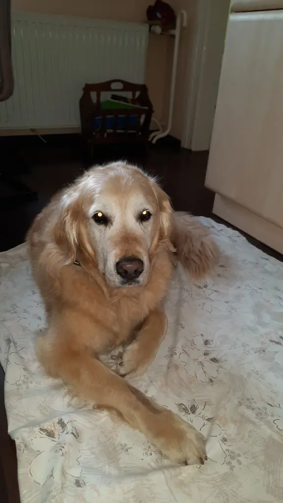 Condolence image of Laura