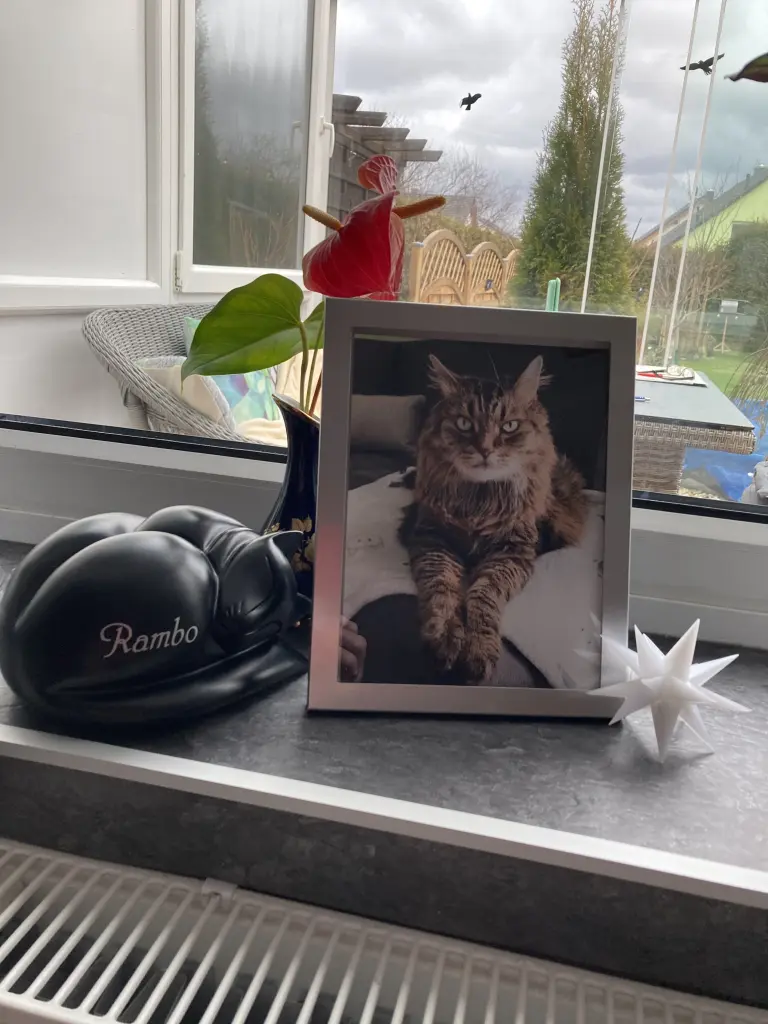 Andachtsbild von Ramona mit Rambo im Herzen ❤️