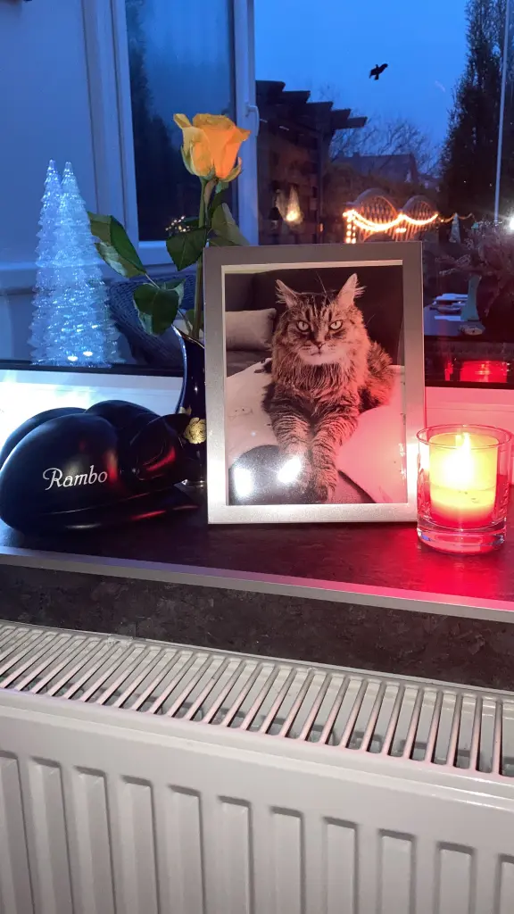 Condolence image of Ramona mit Rambo im Herzen ❤️