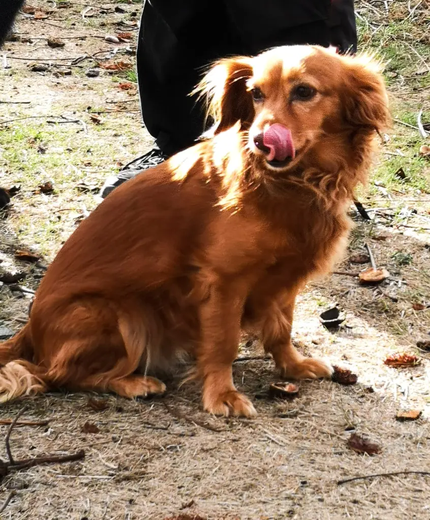 Image from Frodo