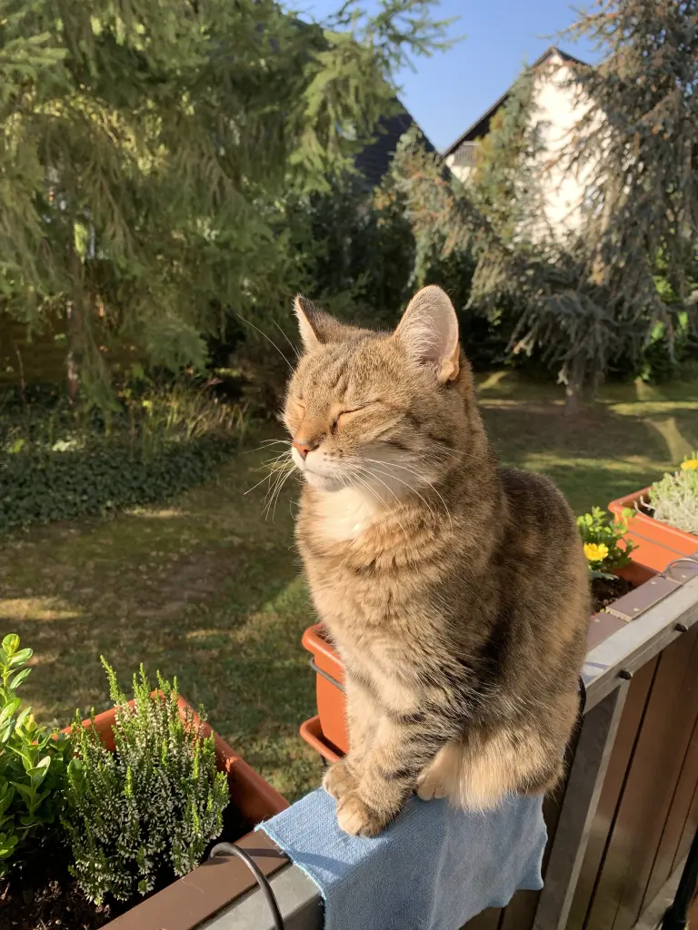 Image from Winnie