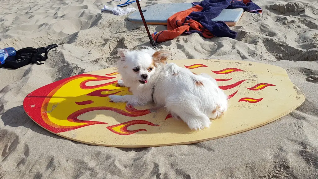 Image from Buffy