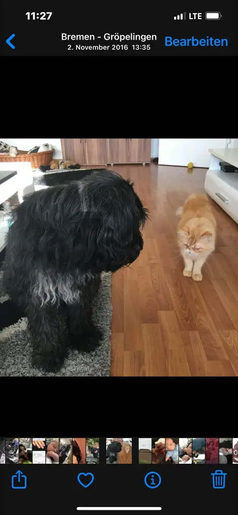 Image from Lucky