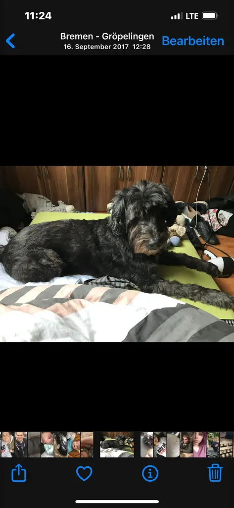 Image from Lucky