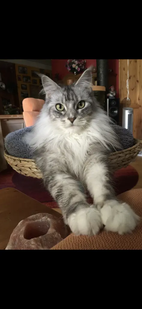 Condolence image of Claudia 